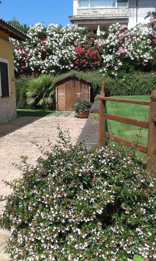 L'Infinito Bed & Breakfast Carbognano Exterior foto