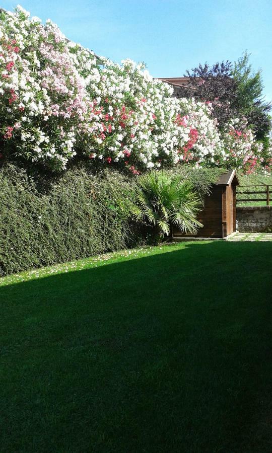 L'Infinito Bed & Breakfast Carbognano Exterior foto